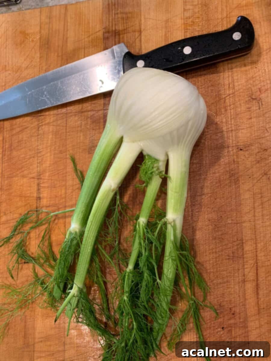 A pristine fennel bulb with its green fronds resting on a rustic wooden cutting board, highlighting its unique shape and texture.