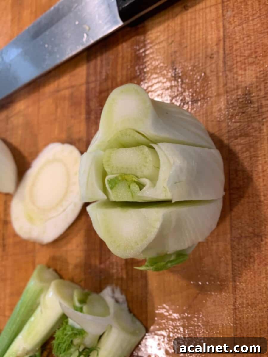 Close-up of a fennel bulb, showing small, delicate slices made into the top of the bulb, ready for further preparation.