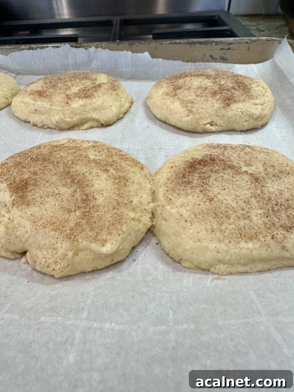 Cookies with cinnamon and sugar to top.