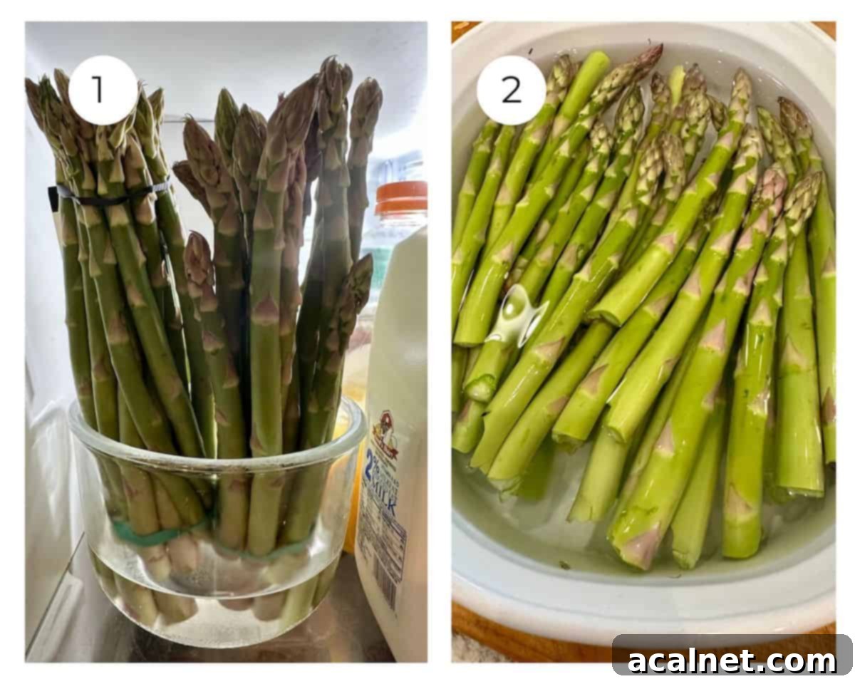 Fresh asparagus spears stored upright in a glass of water, demonstrating proper storage for freshness, with some ends trimmed.