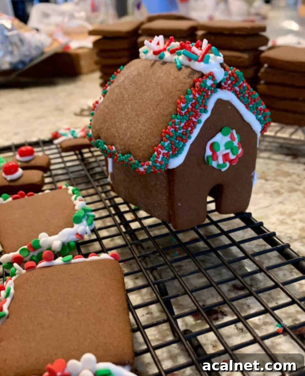 Mini-gingerbread house, decorated with icing, on a cooling rack