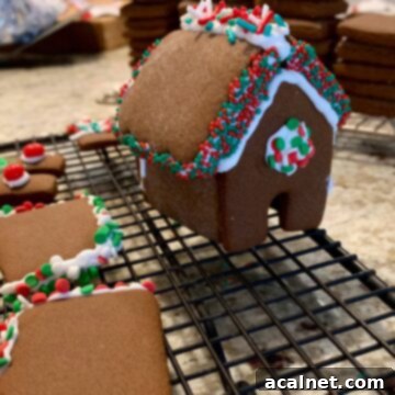 Mini-gingerbread house, decorated with icing, on a cooling rack