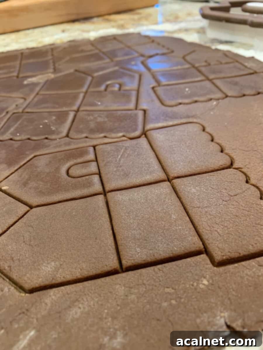 Gingerbread cookie dough with the lines created by the cookie cutter.