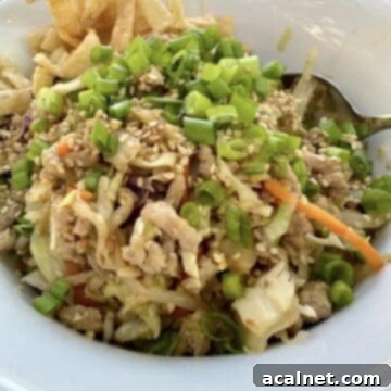 A serving of spring roll in a bowl topped with chopped green onions, sesame seeds and wonton strips, ready to eat.