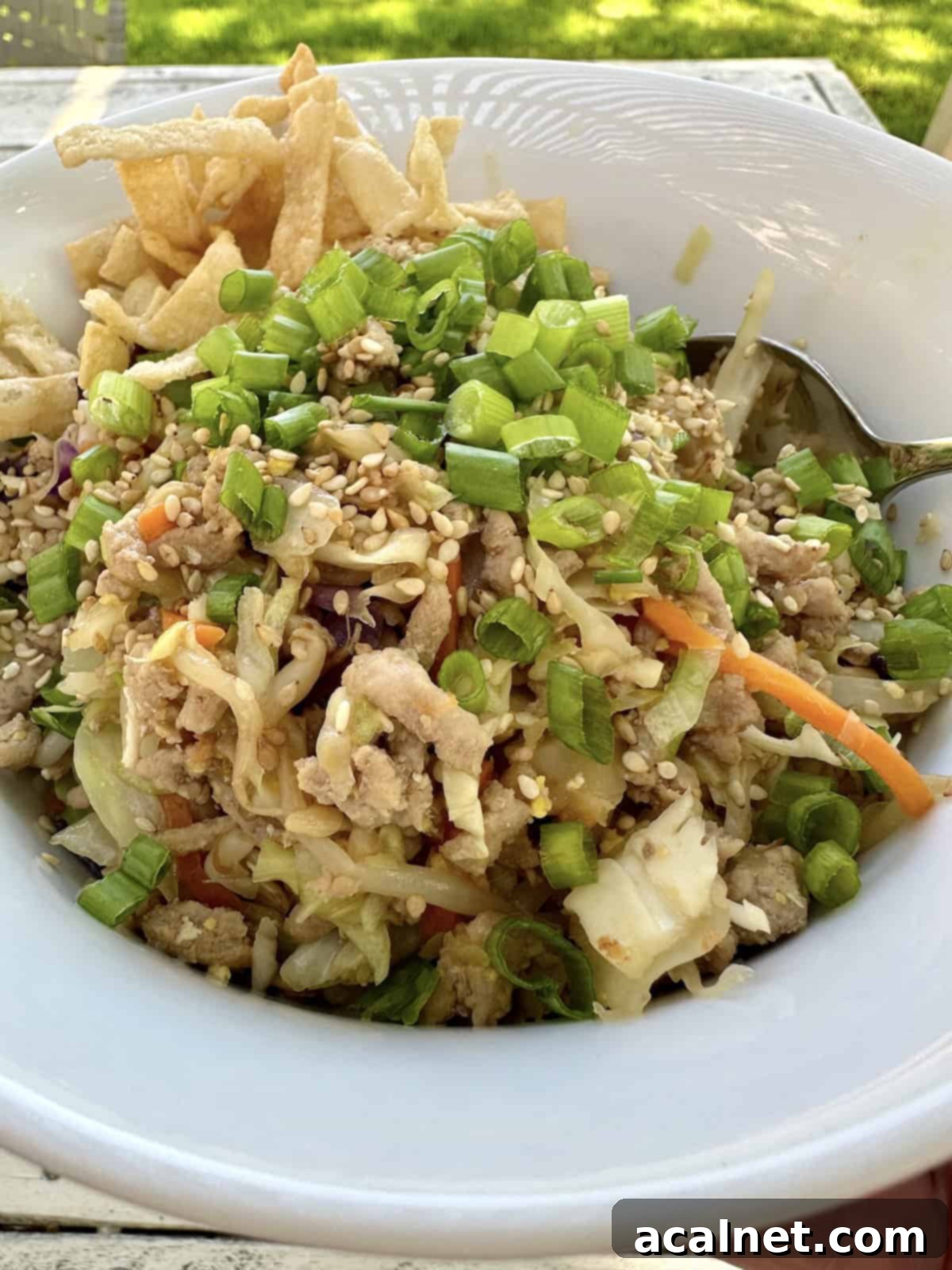 A beautifully presented serving of spring roll in a bowl, topped with chopped green onions, sesame seeds, and crispy wonton strips.