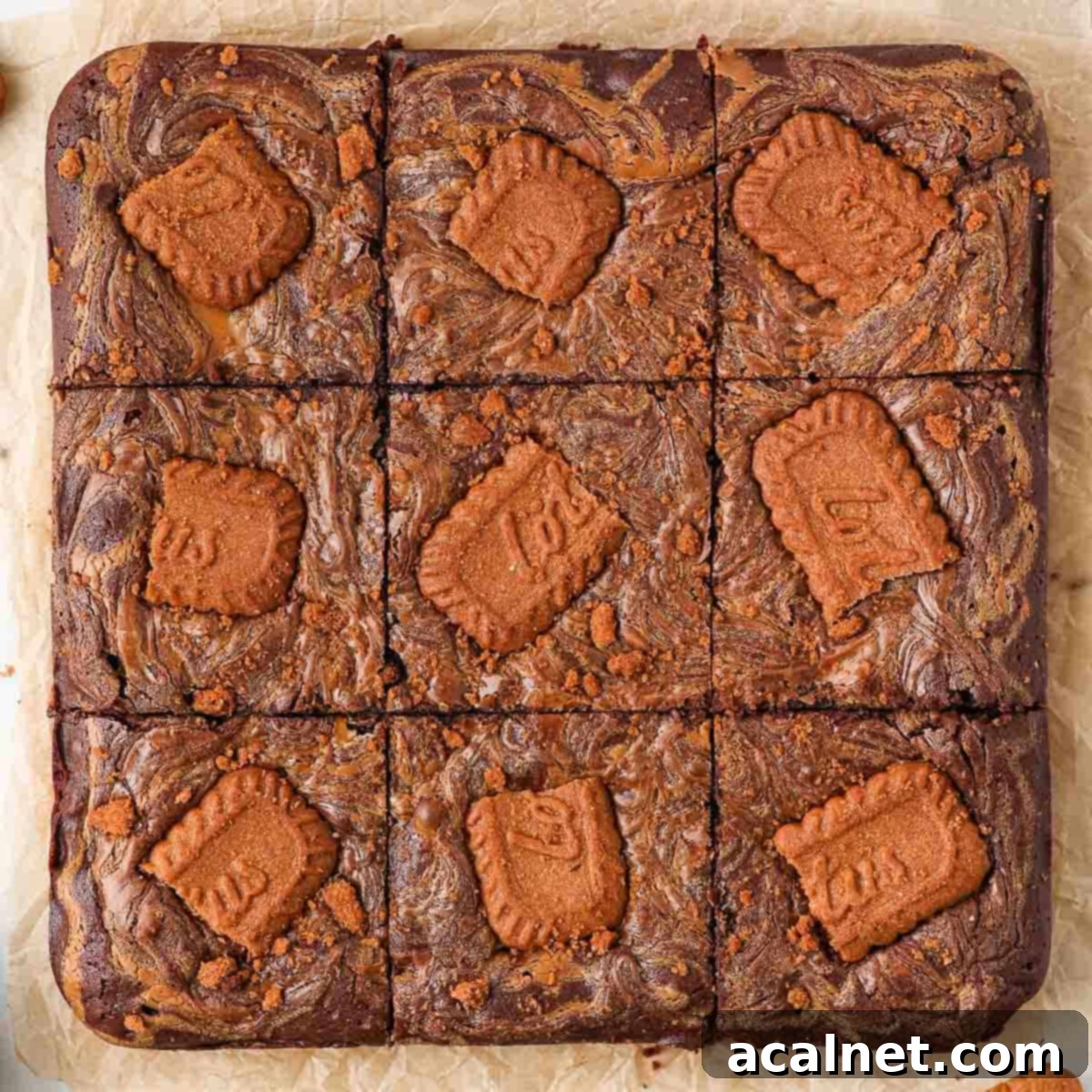 Fudgy Dark Chocolate Biscoff Brownies, artfully sliced into nine perfect squares and garnished with whole and halved Lotus Biscoff cookies, presented from a top-down perspective.