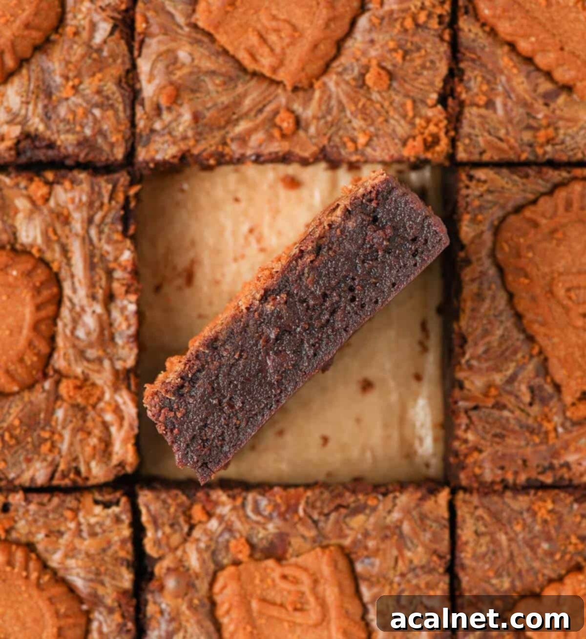 Two rich Biscoff brownie slices artfully arranged, one lying flat and another positioned on its side, providing a clear view of their incredibly fudgy texture, embedded chocolate chunks, and the delightful Biscoff swirl.