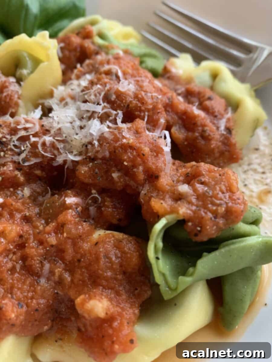 Velvety tomato-cream sauce elegantly coating both plain and spinach tortellini, garnished with a sprinkle of fresh parmesan cheese.