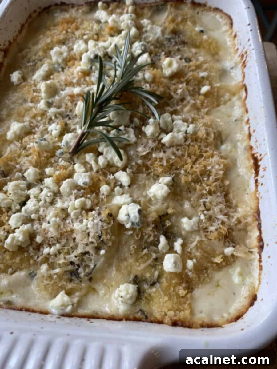 Baked blue cheese and rosemary scalloped potatoes with a sprig of rosemary on top. 