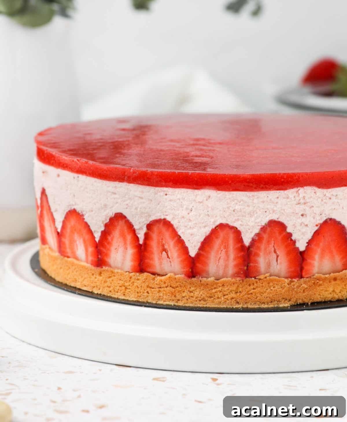 Airy Strawberry Dream Cake 9 Side of the cake on a white plate.