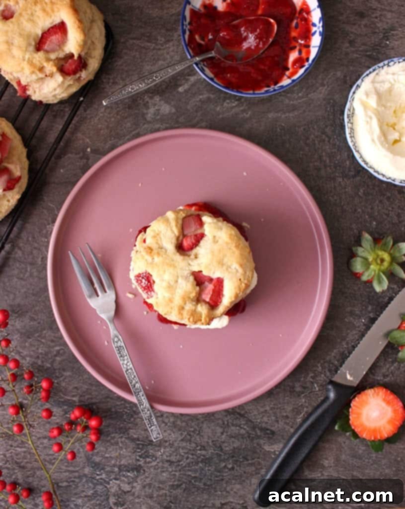 A scone on a pink plate from above, surrounded by a dollop of whipped cream and a spoonful of strawberry jam