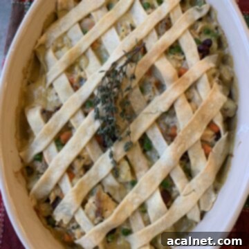 Large dish of turkey pot pie