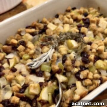 Sweet and Savory Cranberry Apple Stuffing 14 Thanksgiving stuffing recipe, featuring cranberries and apples for a sweet and savory holiday side dish.