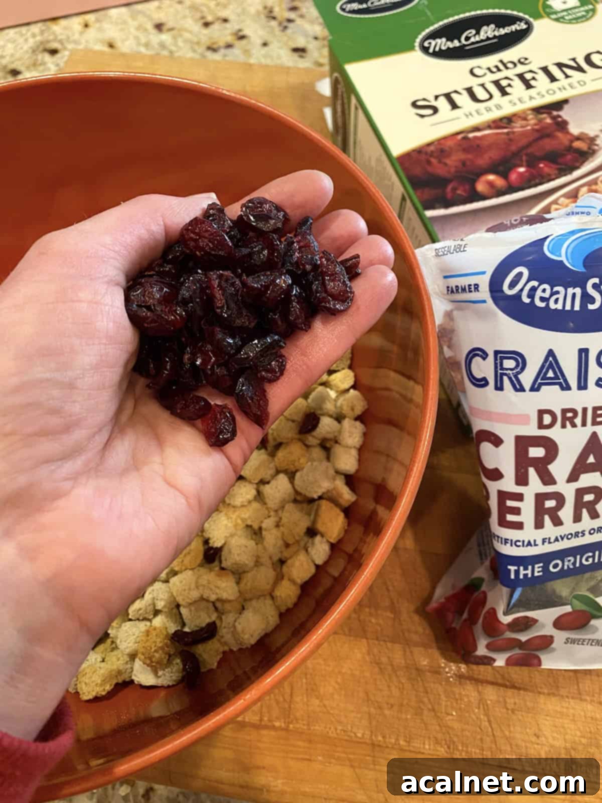 Sweet and Savory Cranberry Apple Stuffing 10 A bowl of stuffing mix with cooked vegetables, apples, and craisins added.