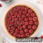 Decadent Chocolate Raspberry Tart 12 Chocolate tart seen from above over a pink plate.