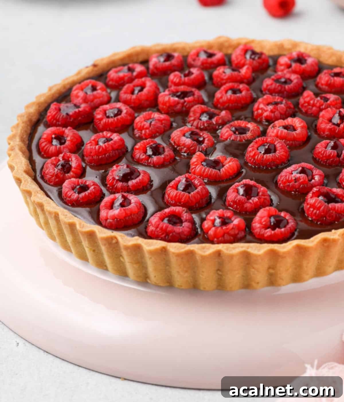 Decadent Chocolate Raspberry Tart 9 Close up on the fresh raspberries filled with raspberry jam on top of the chocolate tart.