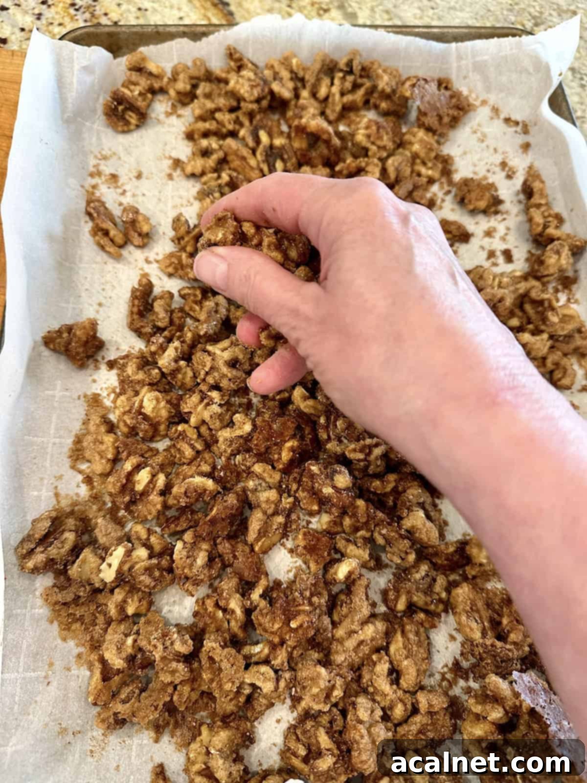 Fully oven-roasted spiced walnuts cooling on parchment paper, separated and ready to serve.