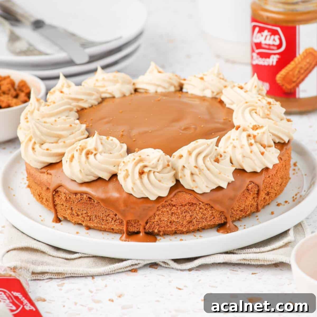 Close up on a slice of Biscoff cake on a white plate over a beige napkin, showcasing layers of cake, glaze, and whipped cream.
