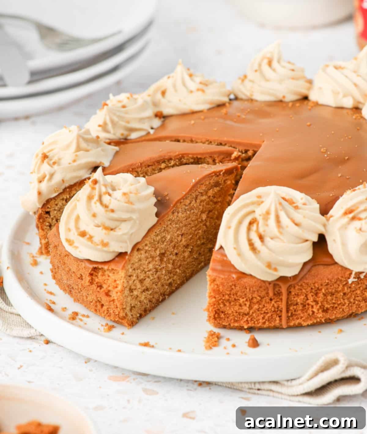 Side view on the biscoff cake with two slices already cut and removed, showing the cake's texture and layers.