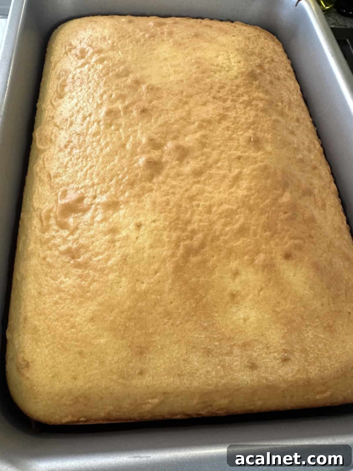 A freshly baked vanilla cake in a 13x9 inch baking pan, cooling on a wire rack.
