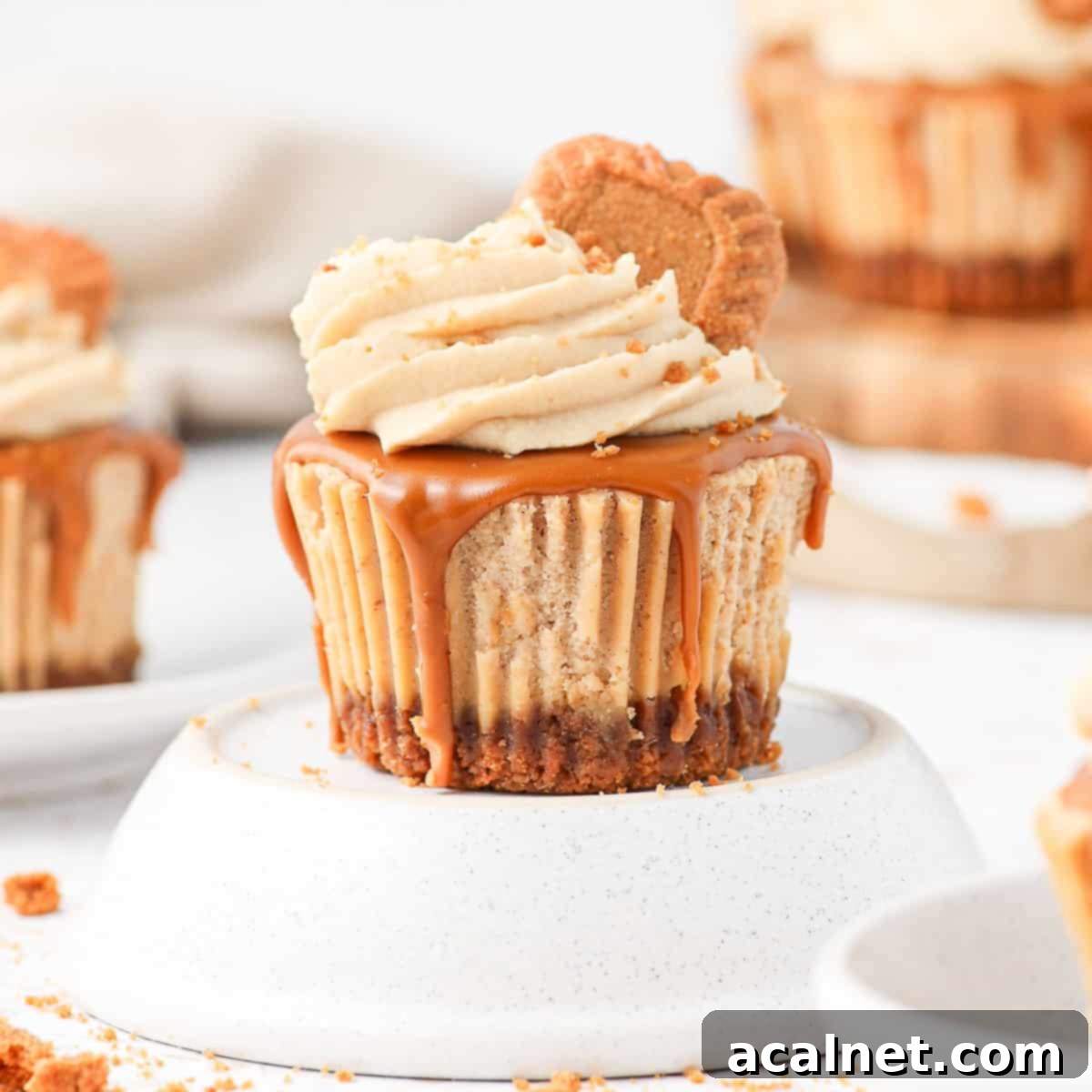 One Biscoff Cheesecake sitting on an upside down white bowl.