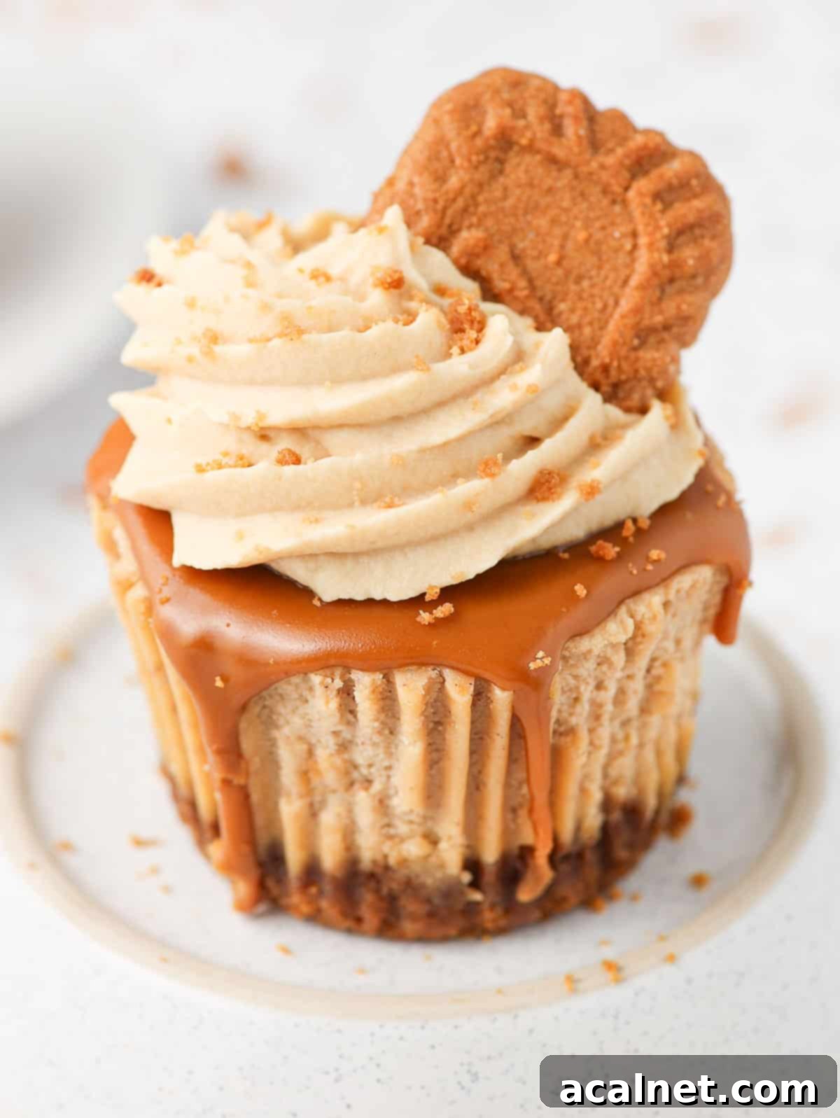 Close up on the biscoff whipped cream topping.