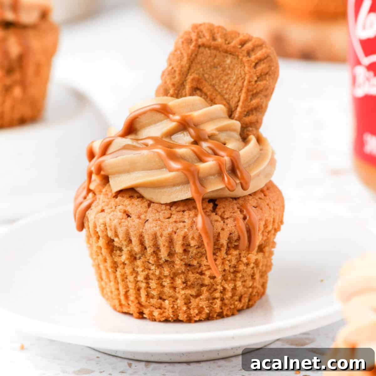 One biscoff cupcake sitting on a small white plate.