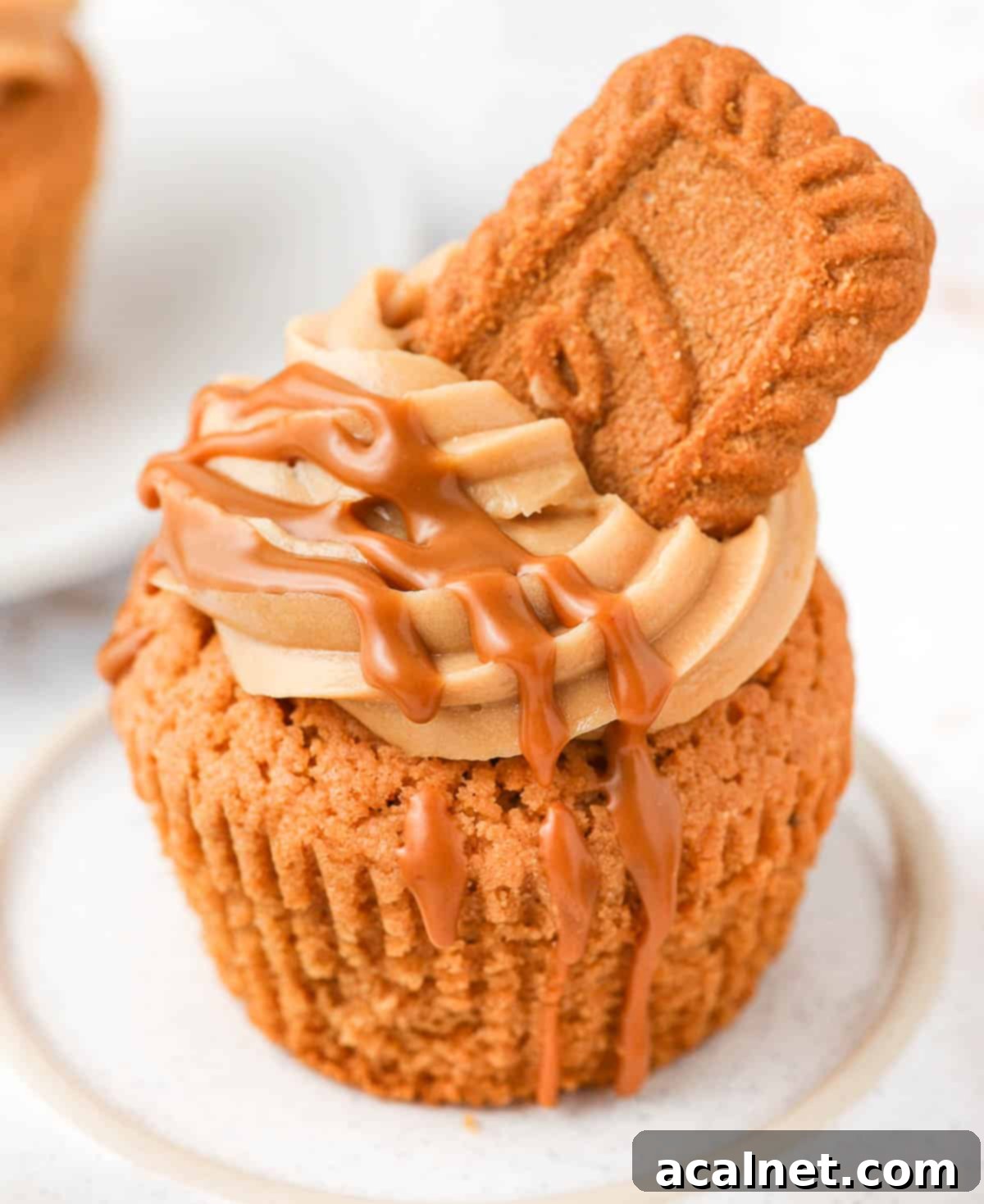 Close up on the biscoff cream cheese frosting and biscoff drizzle.