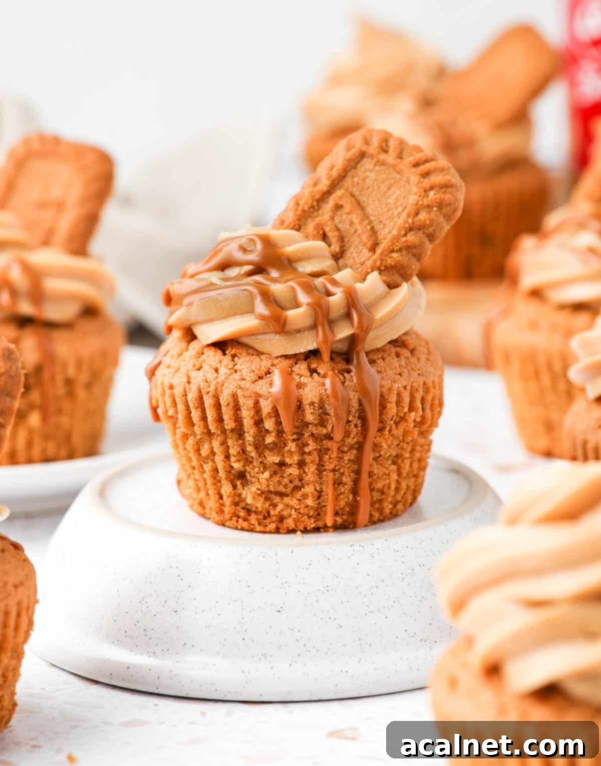 One cupcake standing on an upside down white bowl.