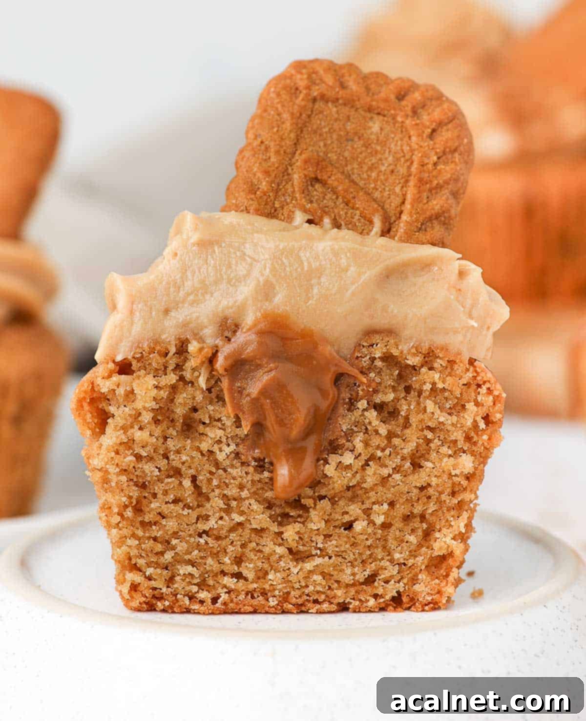 Cupcake cut in half, revealing the fluffy Biscoff cream cheese frosting inside and on top.