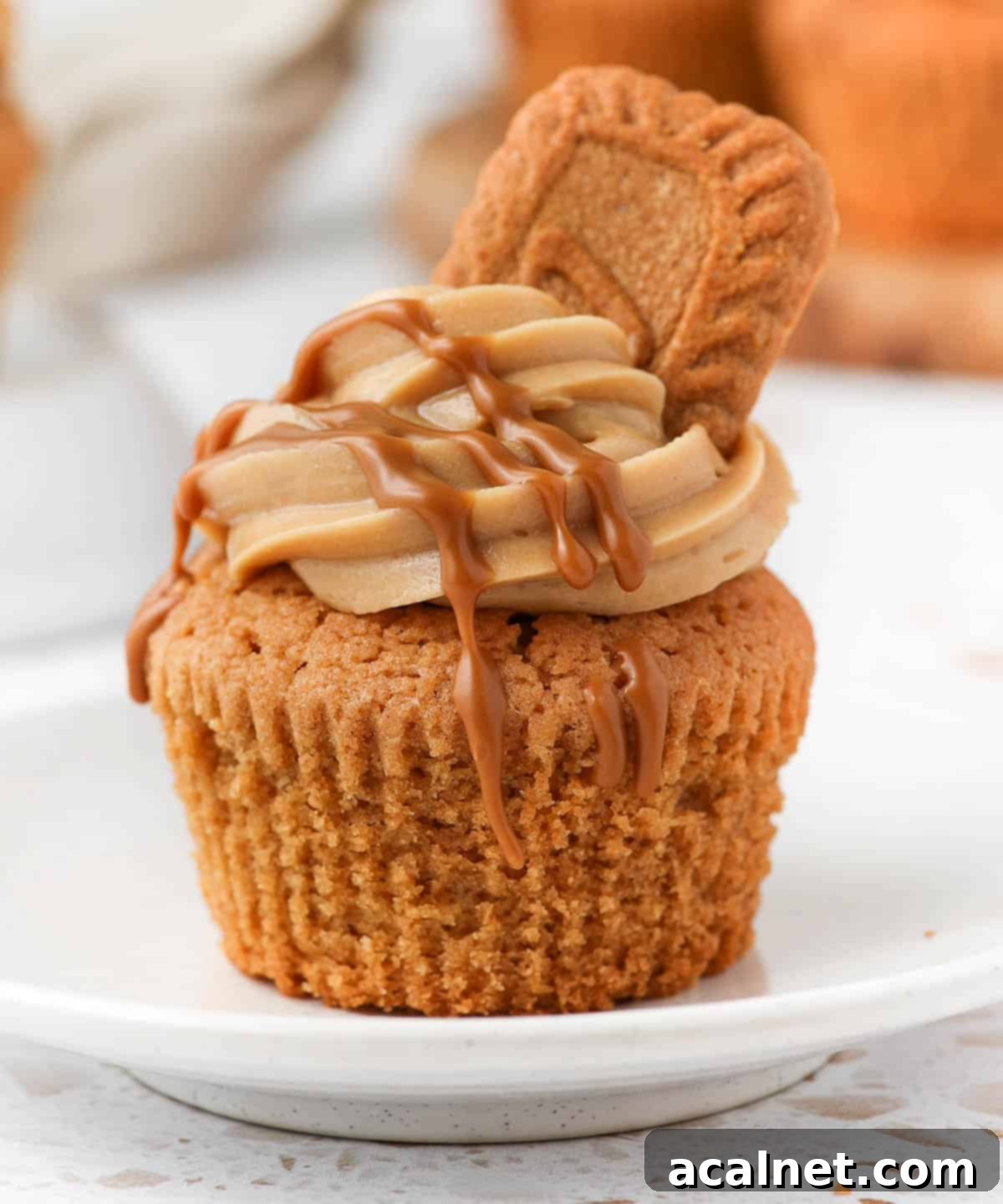 A perfectly decorated Biscoff Cupcake with cream cheese frosting, a delicate Biscoff drizzle, and a whole cookie for garnish.