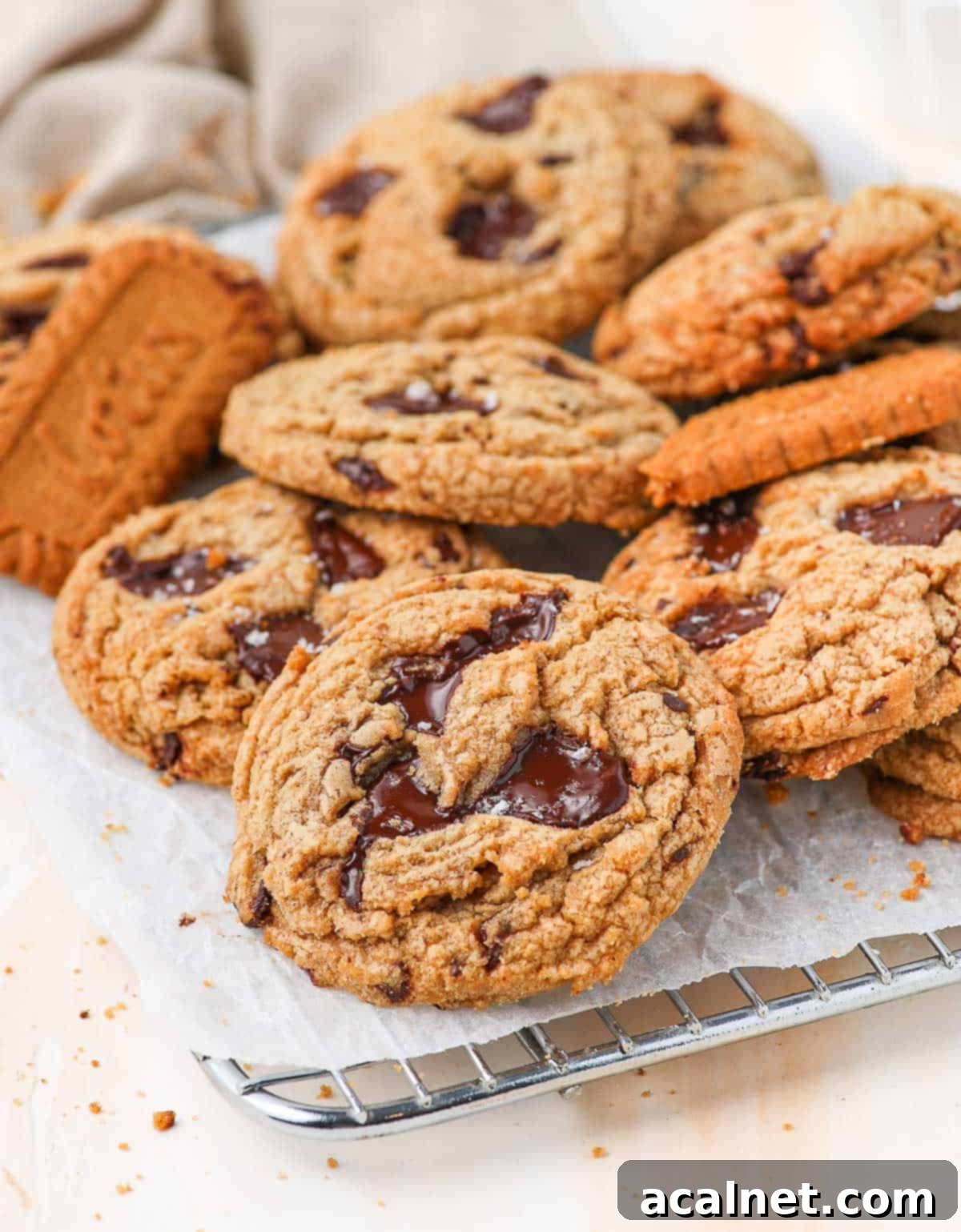 Cookies placed on a small cooling rack with baking paper.