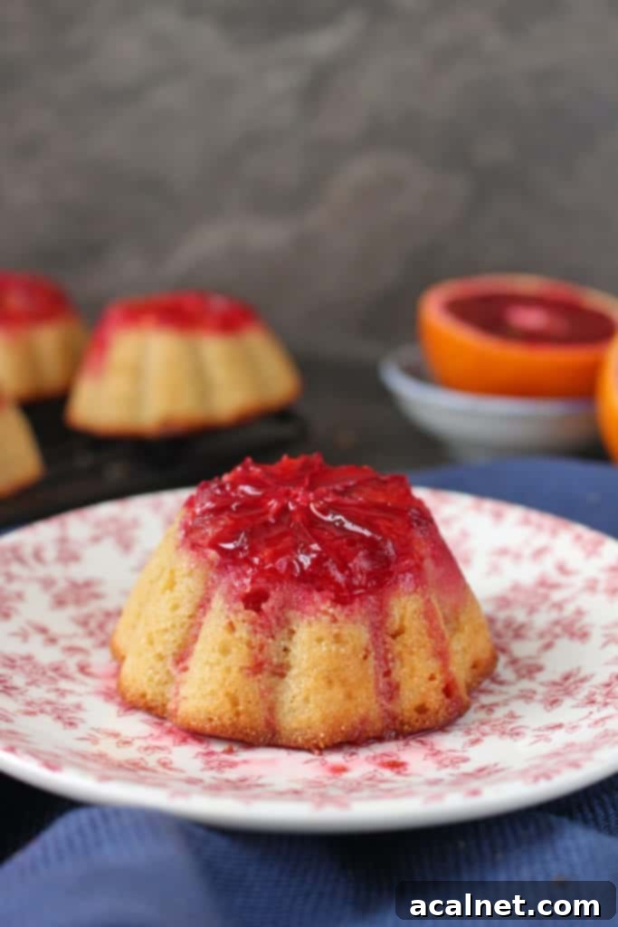 Close up on the blood orange topping one small cake.
