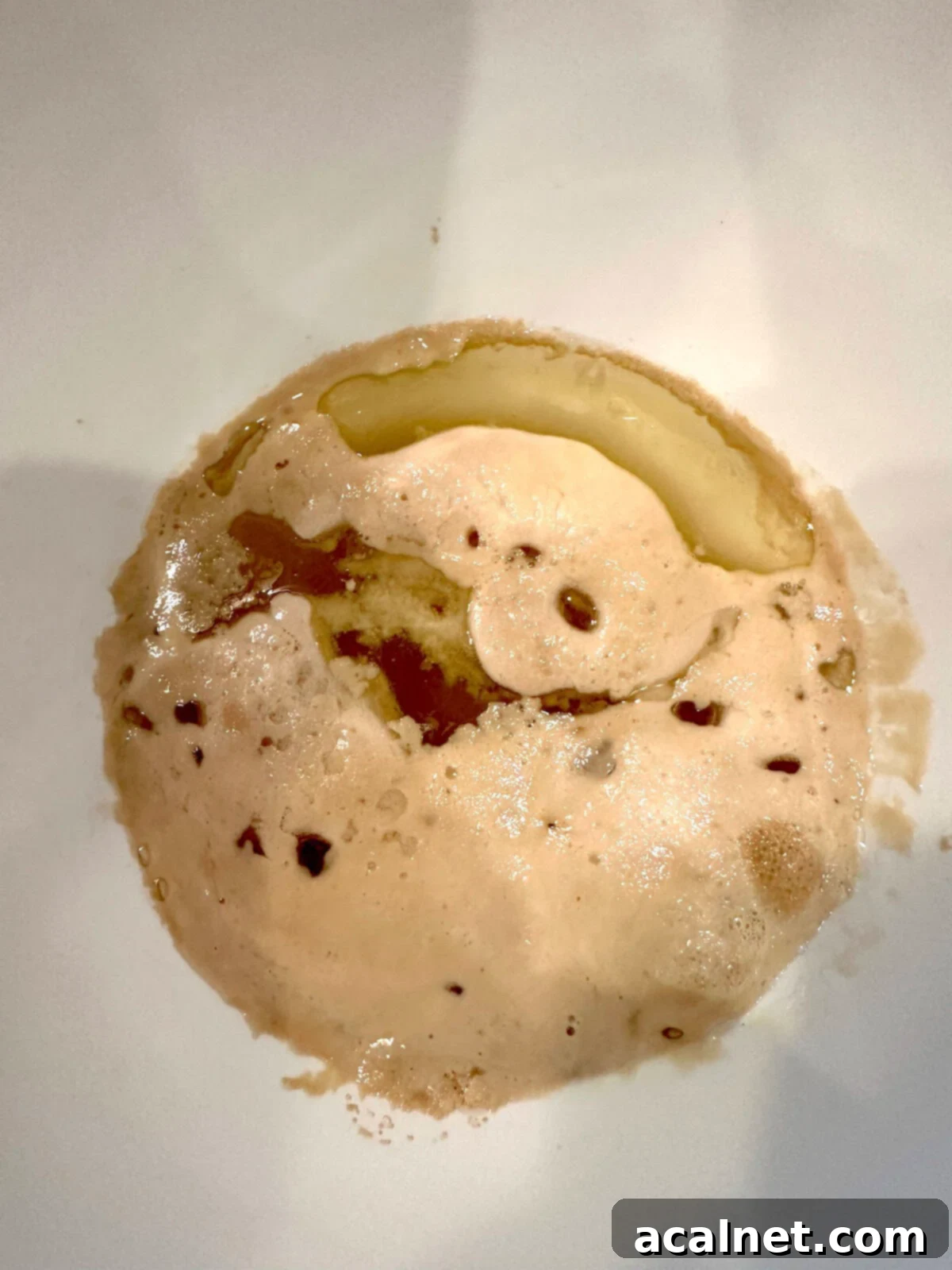 Yeast bubbling in the bottom of a large bowl with olive oil and water.