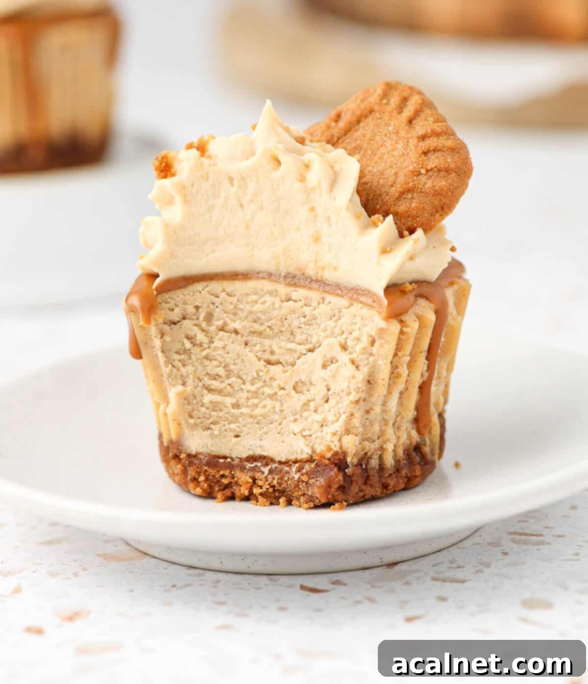 A close-up shot of a mini Biscoff cheesecake with a single bite taken out, revealing its creamy texture and delicious crust.