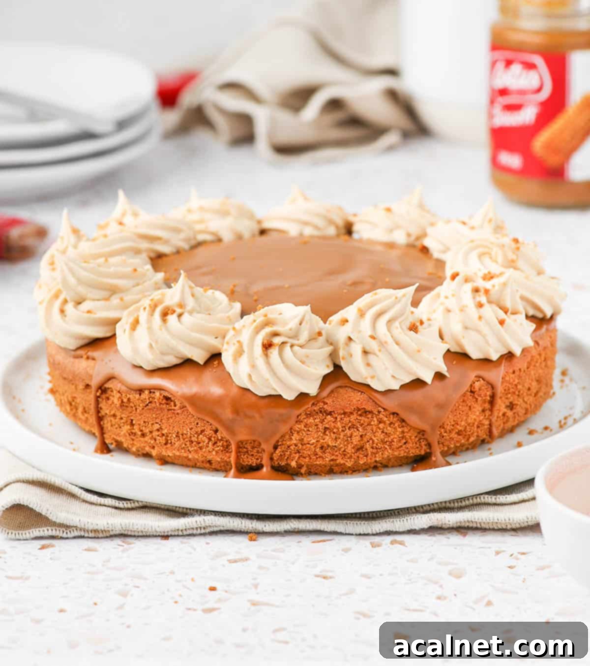 A beautifully finished Biscoff cake on a pristine white plate, showcasing its smooth frosting and inviting texture.