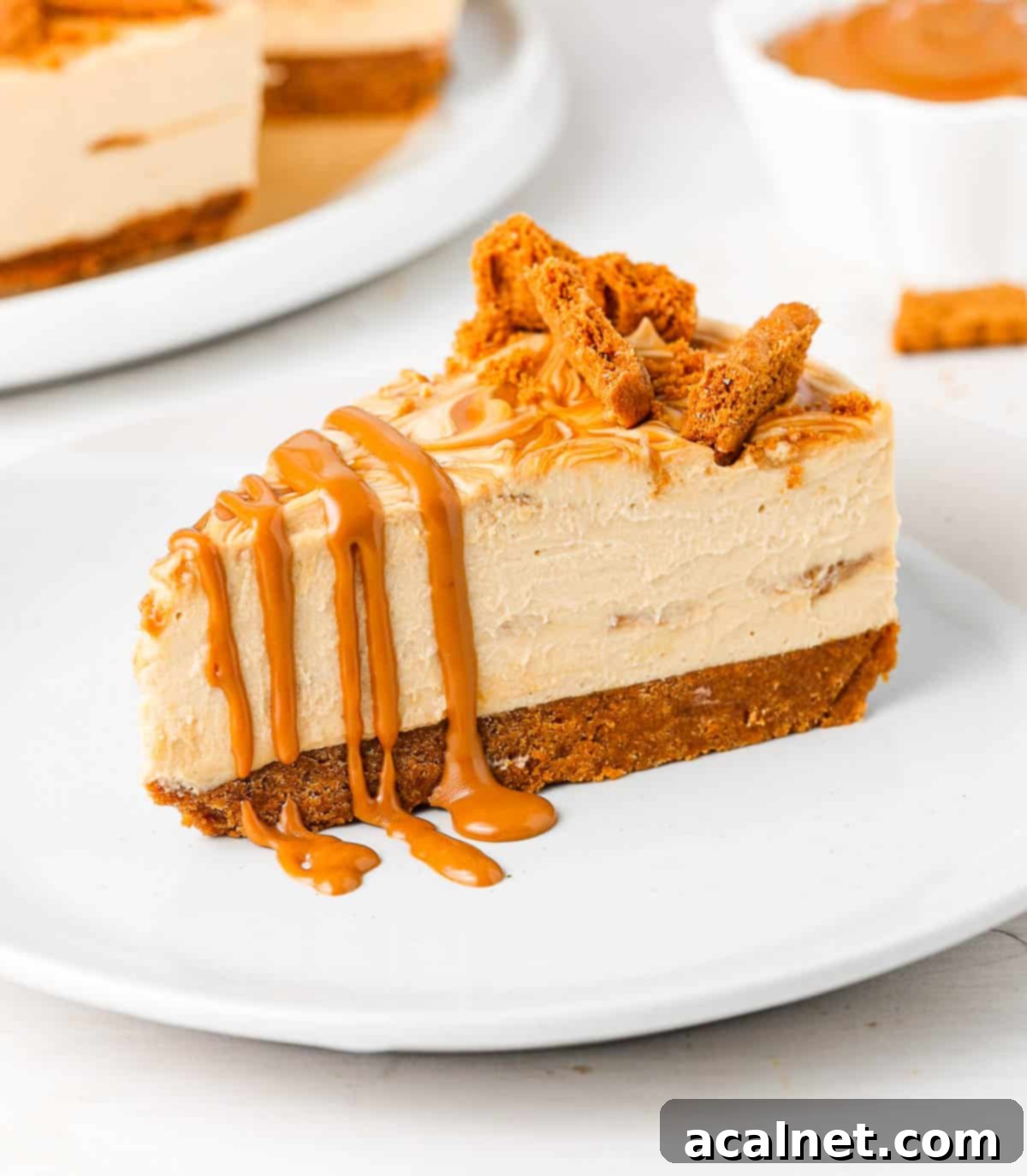 A luscious slice of No-Bake Biscoff Cheesecake drizzled generously with Biscoff spread, presented on a small white plate.