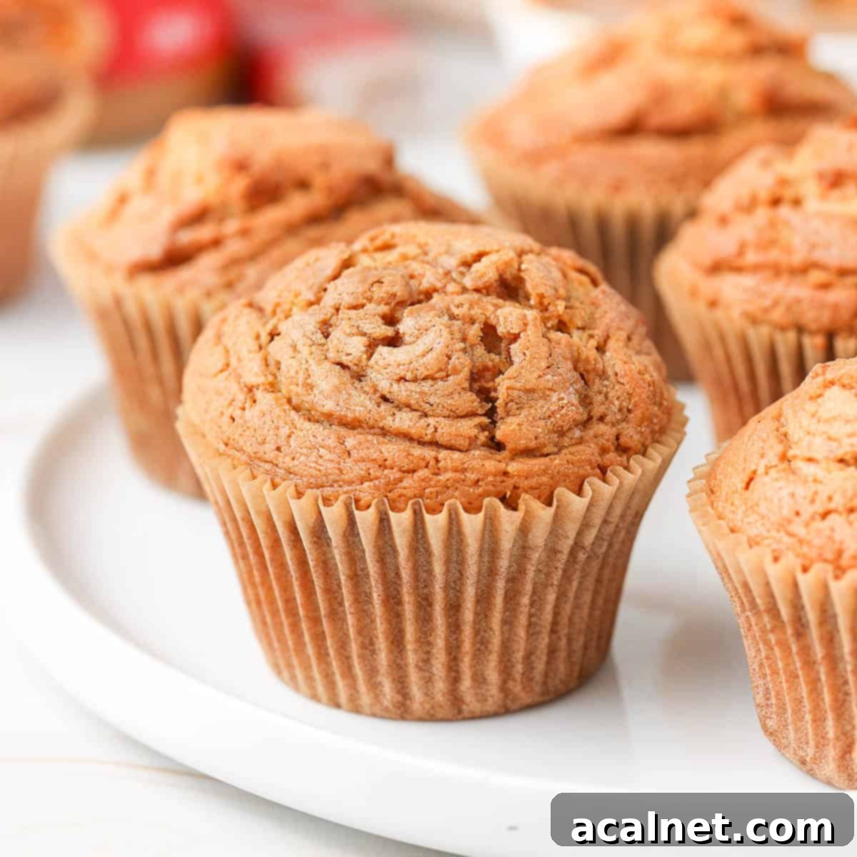A close-up view of a delicious Biscoff Muffin on a large white plate, highlighting its soft texture and inviting crumb topping.