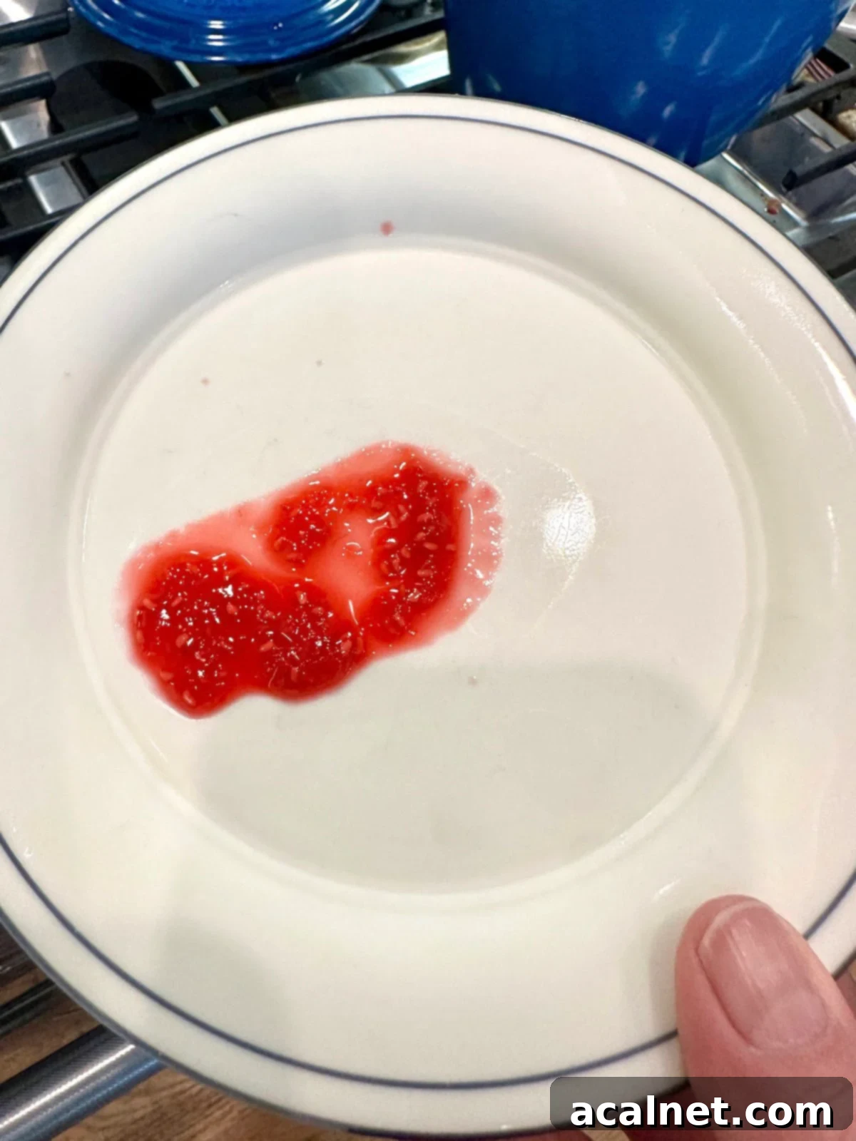 A large drop of raspberry jam on a plate.