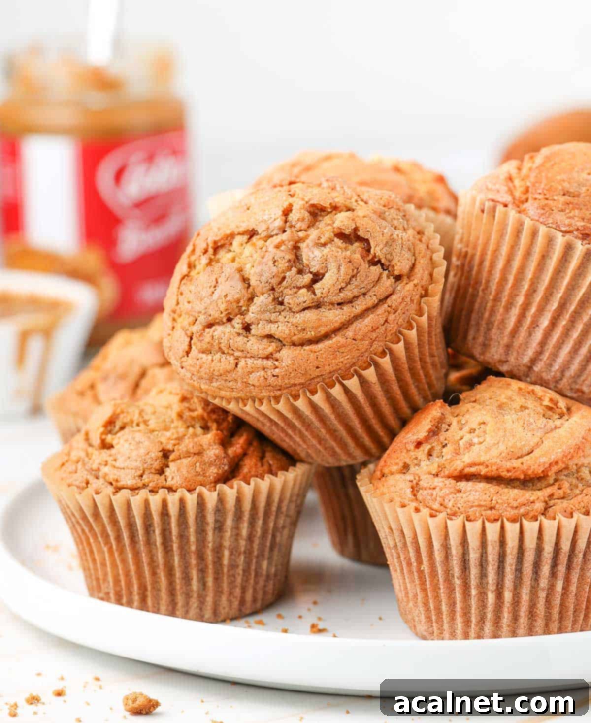 Stack of cakes on a large white plate.