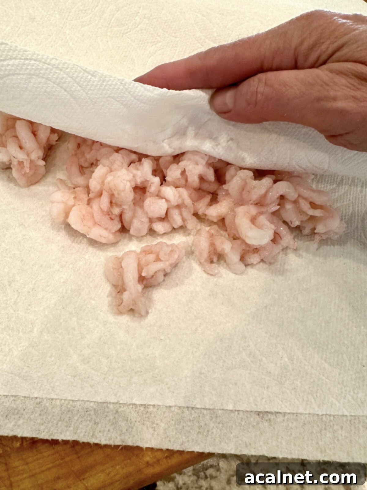 Irresistible Crab and Shrimp Dip 9 Cooked baby shrimp placed between two paper towels to absorb excess moisture.