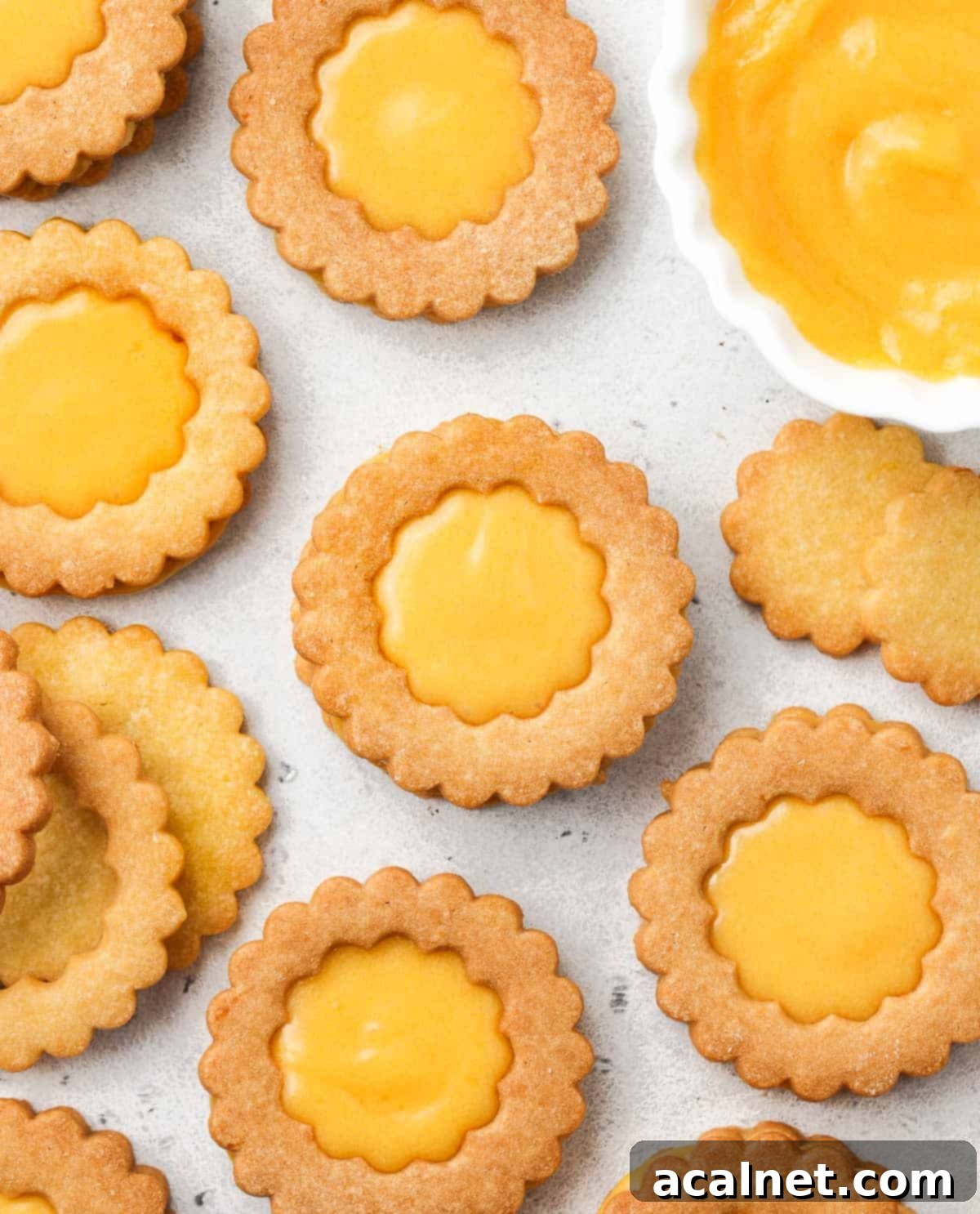 Lemon curd cookies, seen from above, perfectly assembled with the tangy filling visible.