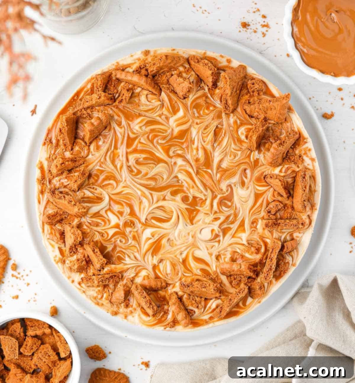 Effortless Biscoff Cheesecake Bliss 7 Beautifully swirled No-Bake Biscoff Cheesecake, seen from above, on a white plate.