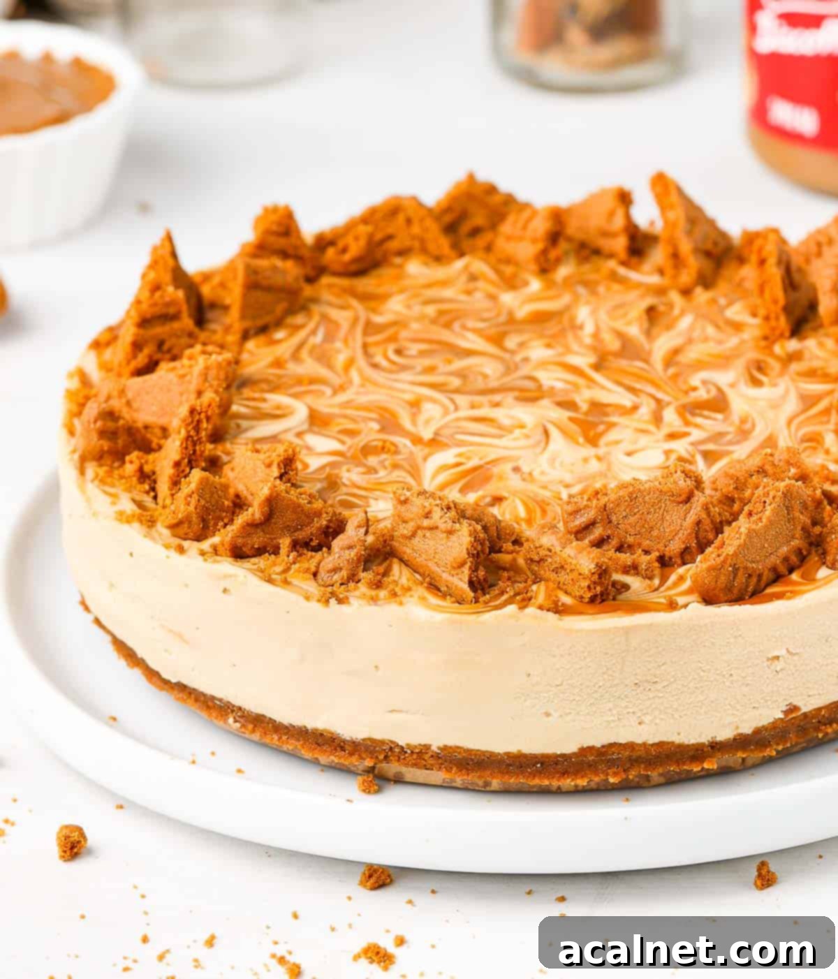 Effortless Biscoff Cheesecake Bliss 8 Close-up side view of a slice of No-Bake Biscoff Cheesecake, showing the smooth creamy texture and cookie crust.