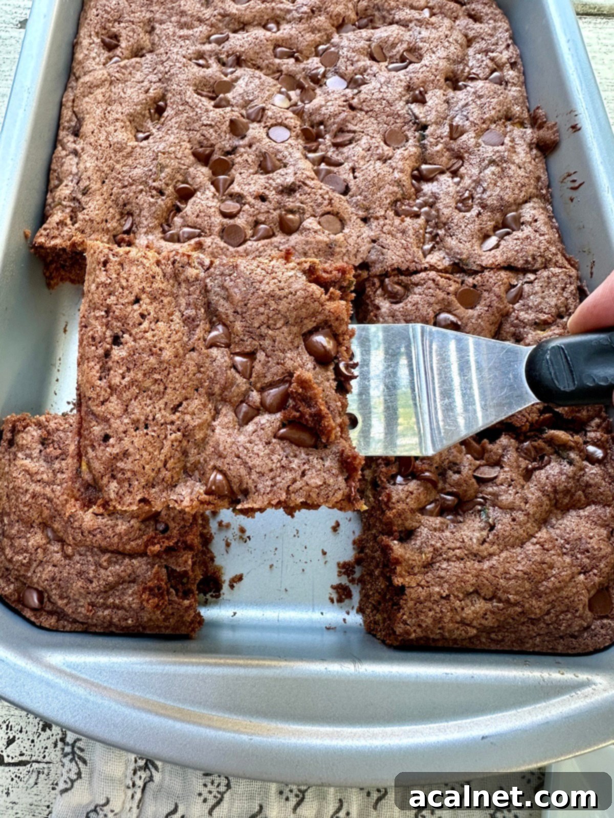 A pan of the summer dessert, chocolate zucchini cake, garnished with chocolate chips.