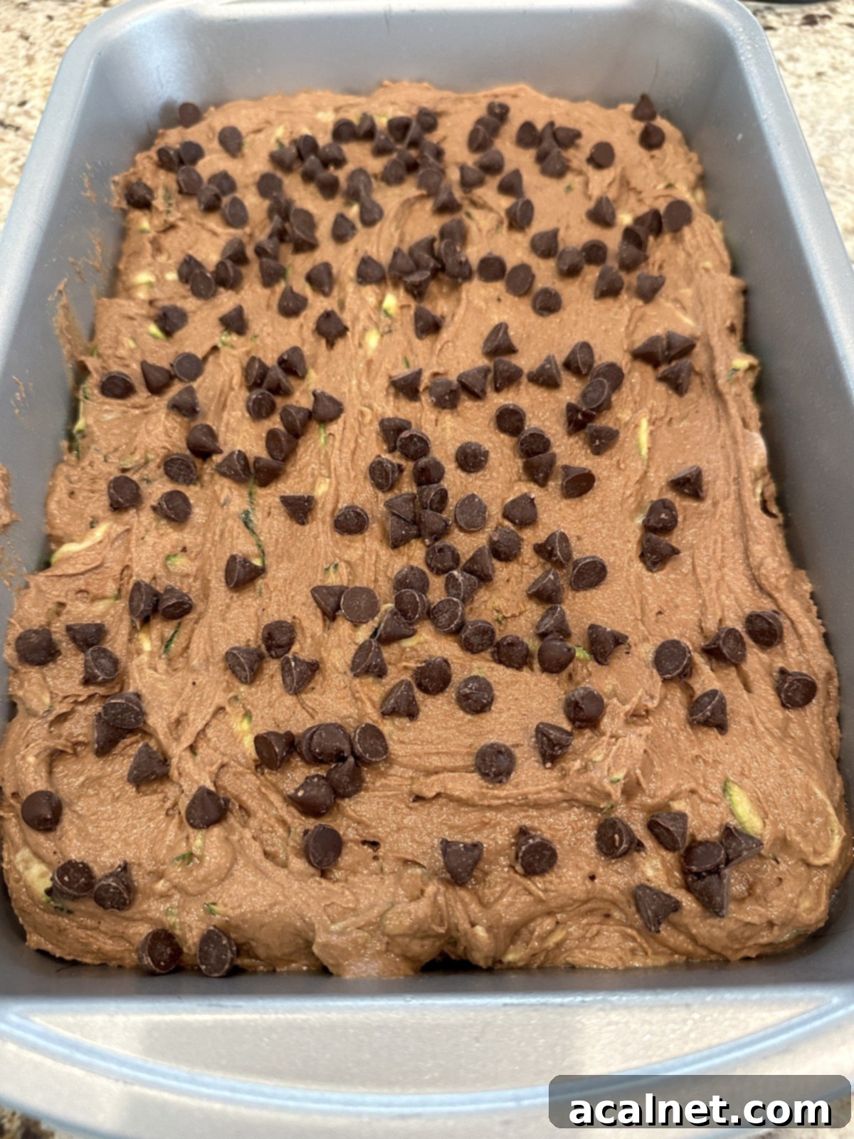 Unbaked chocolate zucchini cake with chocolate chips sprinkled on top in a baking pan.