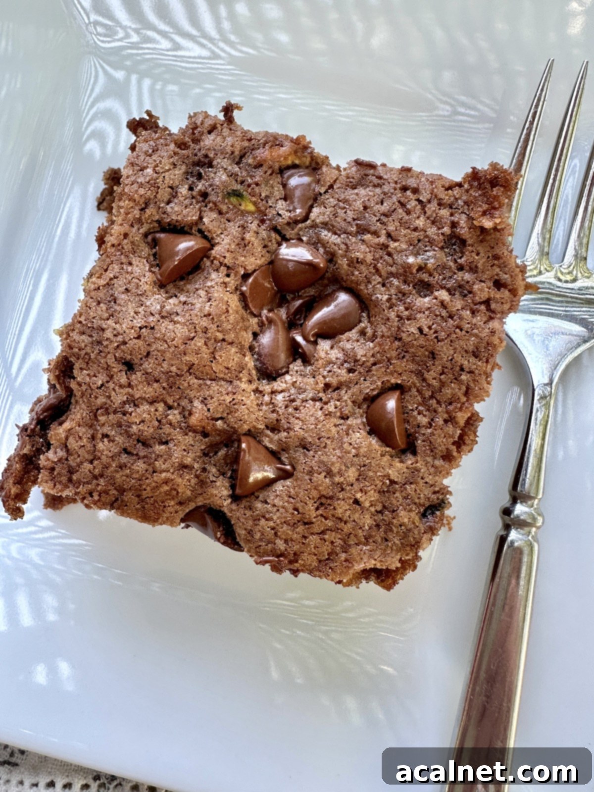 A beautifully plated serving of old-fashioned chocolate zucchini cake, highlighting its moist texture.