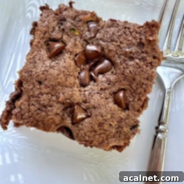 A serving of old-fashioned chocolate zucchini cake on a plate, garnished.