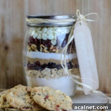 A beautifully layered jar of white chocolate cranberry cookie mix, ready for gifting.