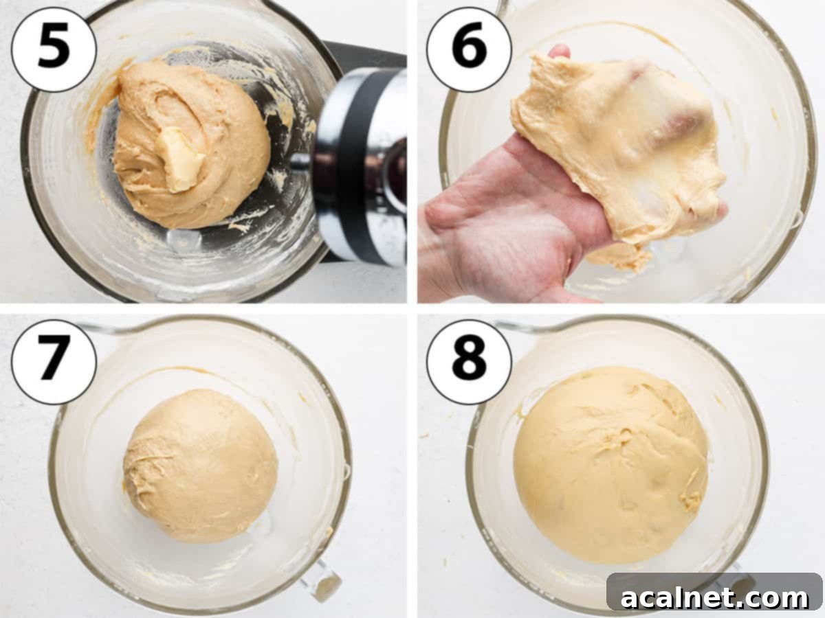 Gourmet Brioche Delights 5 Collage showing the process of adding butter, kneading the dough, and the dough proofing in a bowl.